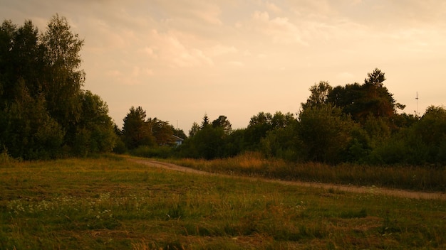 Piękny rustykalny letni krajobraz z drogą Stare drewniane domy z bali Region Wołogdy