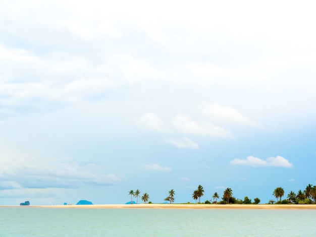 Piękny seascape lato styl minimalistyczny tło z wieloma palmami na piaszczystej plaży.
