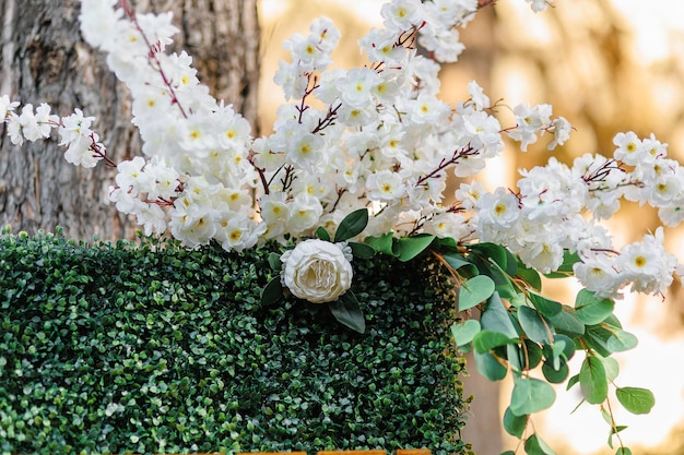 Piękny ślub z białymi kwiatamiMiejsce na ceremonię ślubną w ogrodzie na świeżym powietrzu