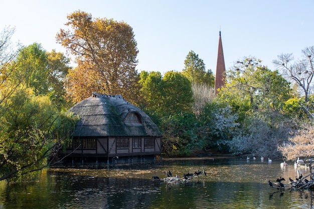 Piękny stary dom nad jeziorem, jesienny krajobraz
