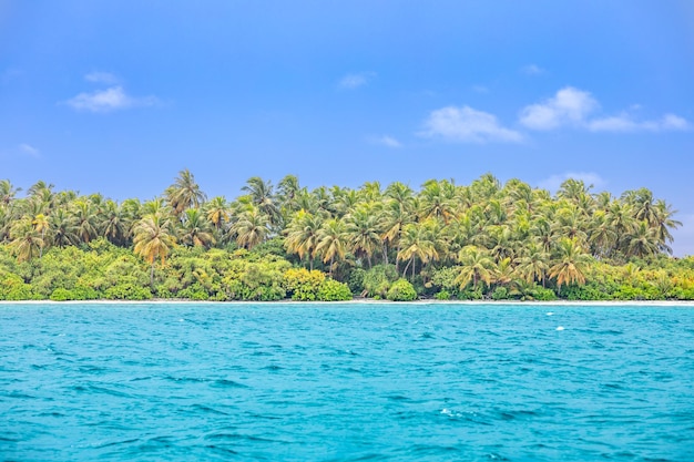 Piękny tropikalny krajobraz plaży. Wybrzeże przyrody, turystyka podróżnicza egzotyczna sceneria. Laguna z palmami