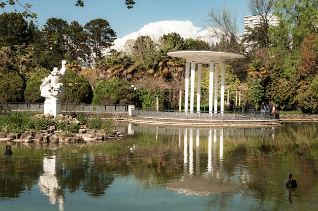 piękny tropikalny park w rosji soczi arboretum park fontanna natura japoński styl lato