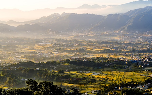 piękny widok krajobrazu pól uprawnych ryżu w Katmandu Nepal