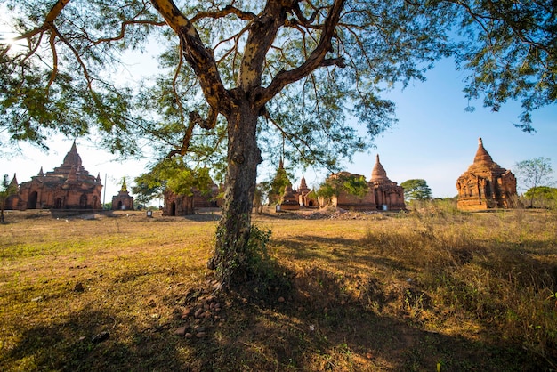 Piękny widok na Bagan w Birmie