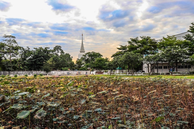 Piękny widok na buddyjską świątynię Wat Mahathat znajdującą się w Bangkoku w Tajlandii