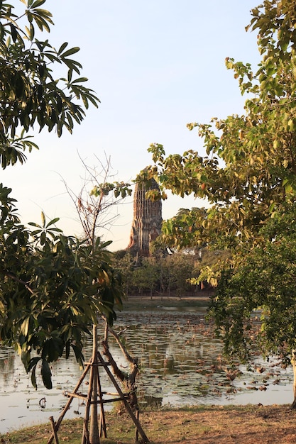 Piękny widok na buddyjską świątynię znajdującą się w Ayutthaya Thailand