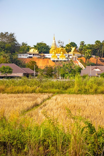 Piękny widok na buddyjską świątynię znajdującą się w Chiang Rai Tajlandia