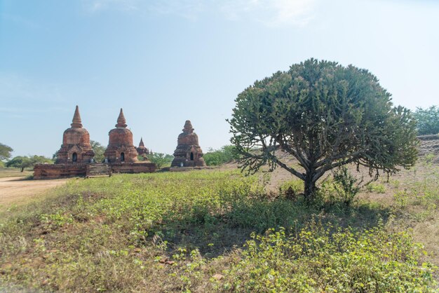 Piękny widok na buddyjskie świątynie w Bagan Myanmar