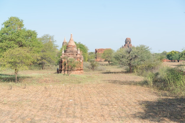 Piękny widok na buddyjskie świątynie w Bagan Myanmar