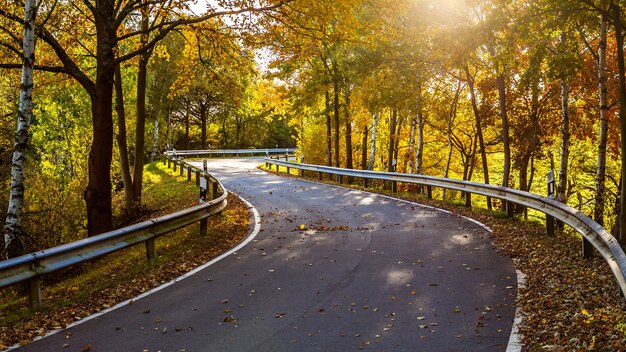 Piękny Widok Na Drogę Otoczoną Drzewami