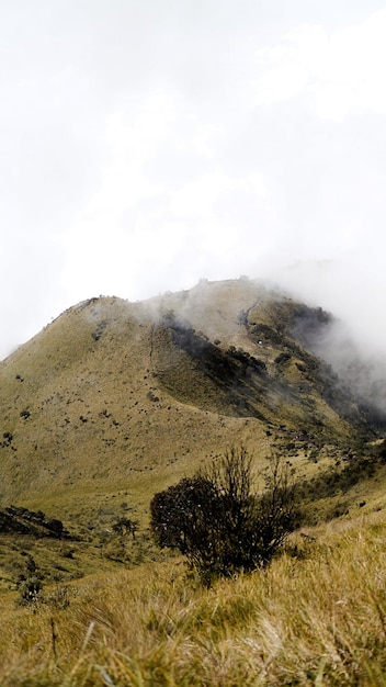 Piękny widok na górę Merbabu