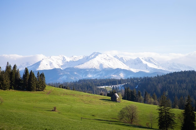 Piękny widok na górski krajobraz Tatrzańskiego Parku Narodowego Polska Tatry Wysokie Karpaty