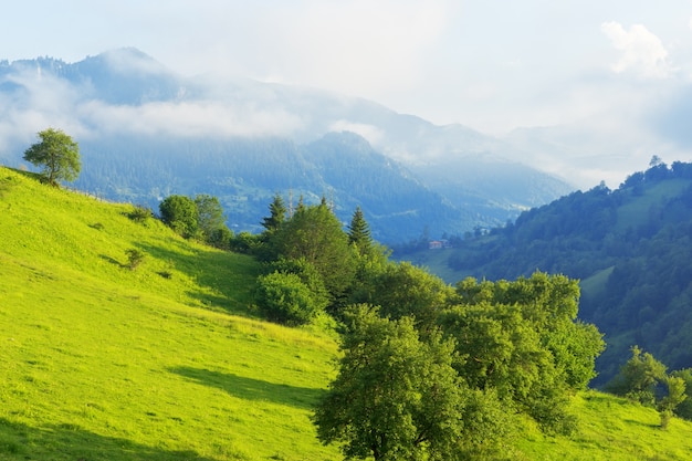 Piękny widok na góry na Highland i drzewa?