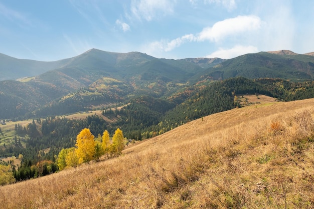 Piękny widok na góry na Ukrainie Wspaniały panoramiczny krajobraz z jesiennym lasem w słoneczny dzień