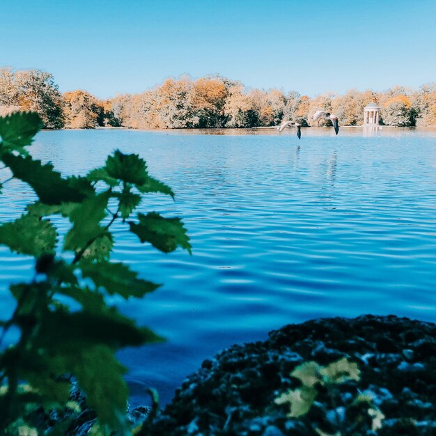 Piękny widok na jezioro na tle jasnego niebieskiego nieba.