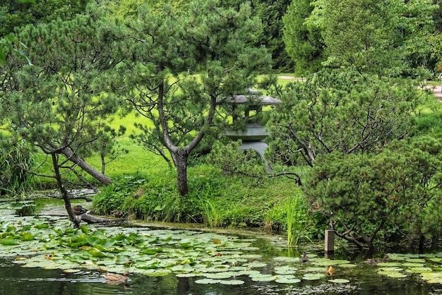 Piękny widok na krajobraz w japońskim tradycyjnym ogrodzie botanicznym ozdobnym. Spokojna scena natury g