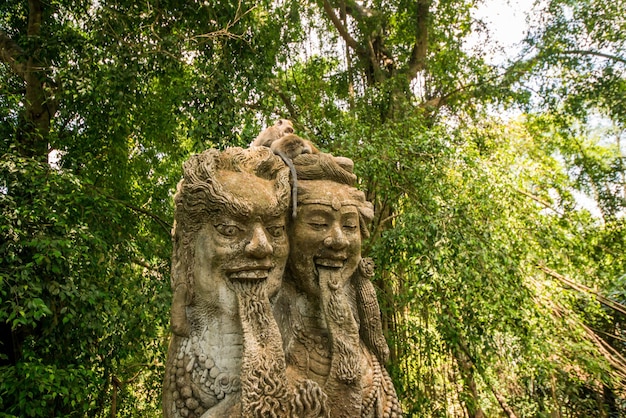 Piękny Widok Na Monkey Forest Znajdujący Się W Ubud Bali Indonezja