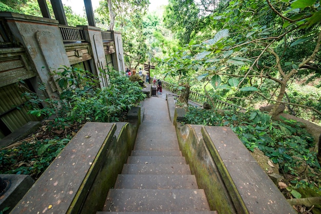 Piękny widok na Monkey Forest znajdujący się w Ubud Bali Indonezja