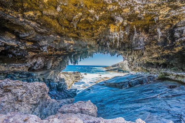 Piękny widok na nadmorską jaskinię Admirals Arch na wyspie Kangaroo w Australii
