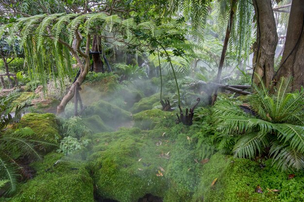 Piękny Widok Na Naturalny Krajobraz W Przydomowym Ogrodzie