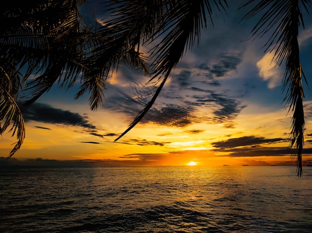 Zdjęcie piękny widok na ocean z sylwetką palmy