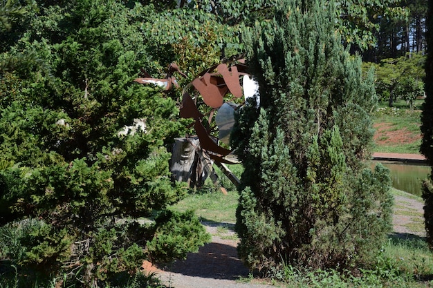 Piękny widok na ogród botaniczny znajdujący się w Brasilia Brazil