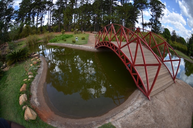 Piękny widok na ogród botaniczny znajdujący się w Brasilia Brazil