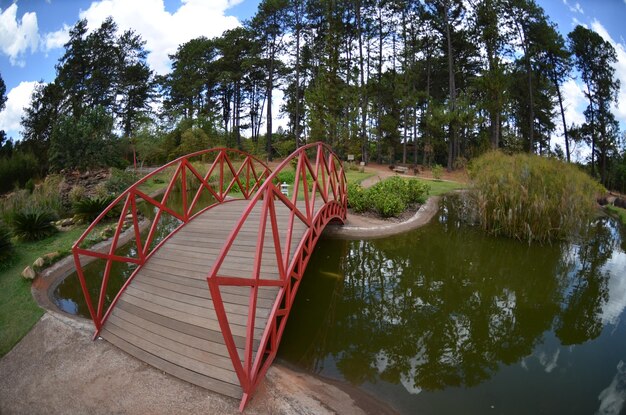 Piękny widok na ogród botaniczny znajdujący się w Brasilia Brazil