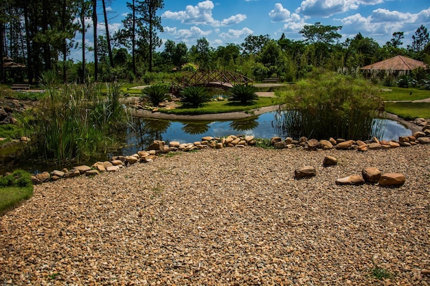 Piękny widok na ogród botaniczny znajdujący się w Brasilia Brazil