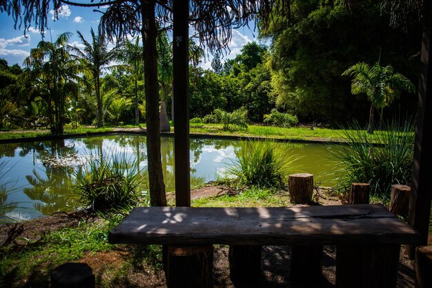 Piękny widok na ogród botaniczny znajdujący się w Brasilia Brazil