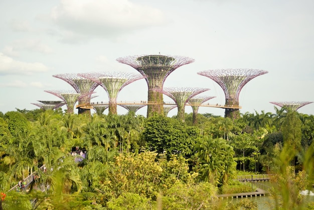 Piękny widok na panoramę Singapuru