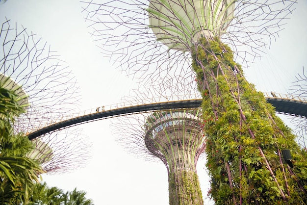 Piękny widok na panoramę Singapuru