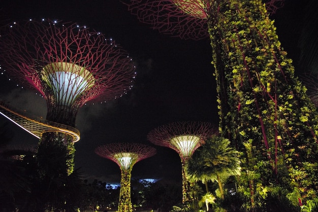 Piękny Widok Na Panoramę Singapuru