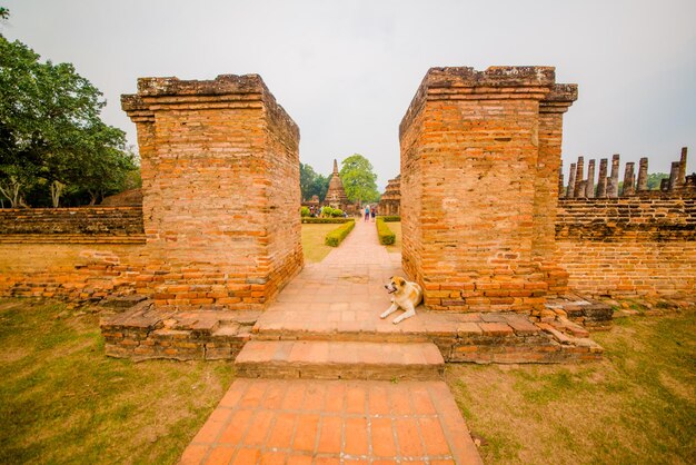 Piękny widok na park historyczny Sukhothai znajdujący się w Tajlandii
