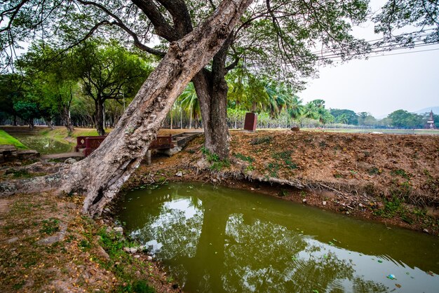 Piękny widok na park historyczny Sukhothai znajdujący się w Tajlandii