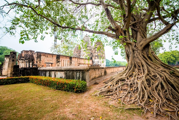 Piękny Widok Na Park Historyczny Sukhothai Znajdujący Się W Tajlandii