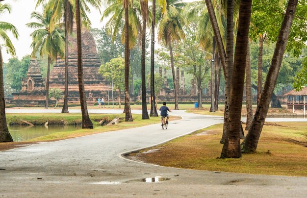 Piękny widok na park historyczny Sukhothai znajdujący się w Tajlandii