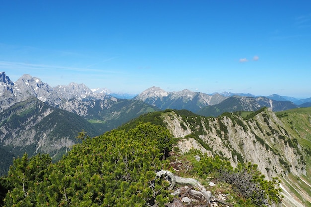 Piękny widok na pasmo górskie Karwendel w Austrii i Meadow buttercup na słonecznym chmurowym niebie