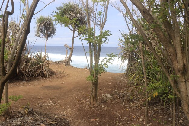 Zdjęcie piękny widok na plażę nusa dua na bali w indonezji