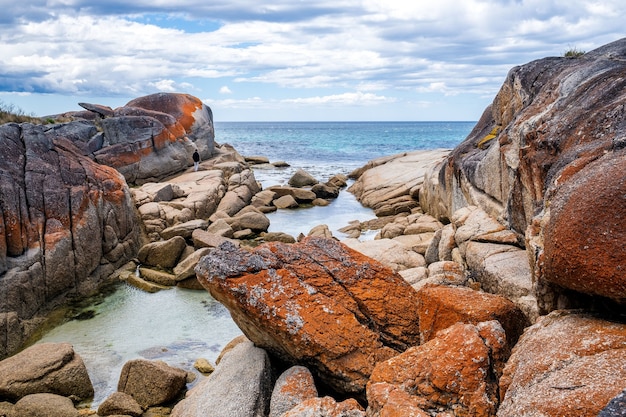 Zdjęcie piękny widok na plażę z czystą, błękitną wodą pod jasnym niebem na tasmanii w australii