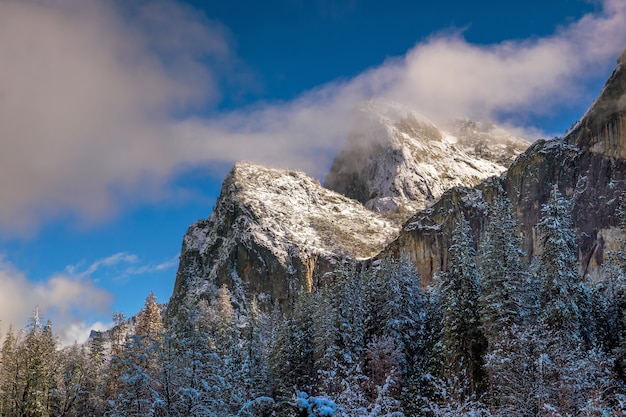 Piękny widok na sezon zimowy parku narodowego Yosemite w Kalifornii, USA