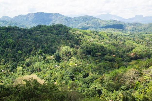 Piękny widok na słynną górę Sigiriya Mountain Lion wśród lasów deszczowych Sri Lanki