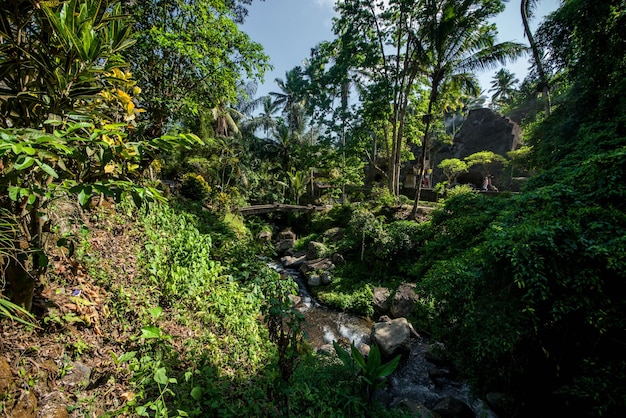 Piękny widok na świątynię Gunung Kawi znajdującą się na Bali w Indonezji