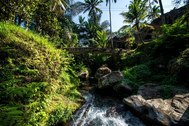 Piękny widok na świątynię Gunung Kawi znajdującą się na Bali w Indonezji