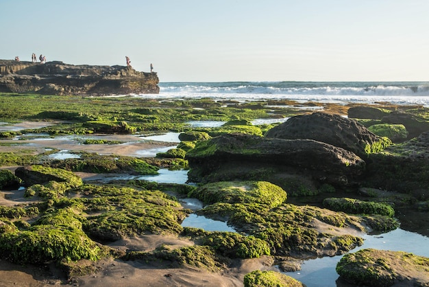 Piękny widok na świątynię Tanah Lot znajdującą się na Bali w Indonezji