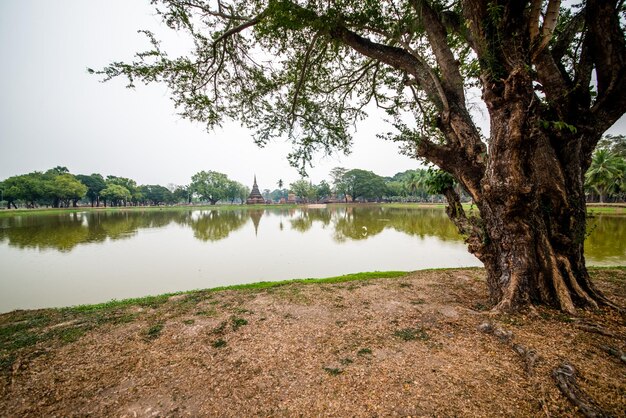 Piękny widok na świątynie w Sukhothai Tajlandia