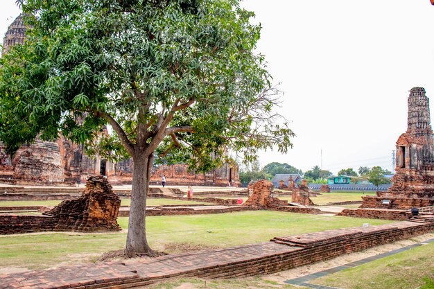 Piękny widok na świątynię Wat Chaiwatthanaram znajdującą się w Ayutthaya Thailand