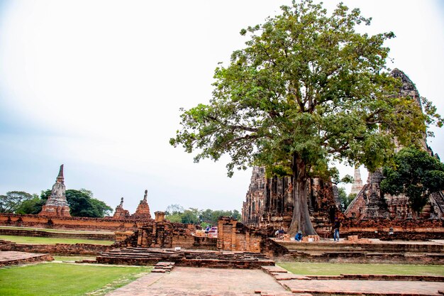 Zdjęcie piękny widok na świątynię wat chaiwatthanaram znajdującą się w ayutthaya thailand