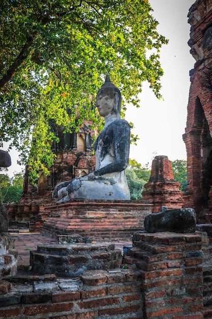 Piękny Widok Na świątynię Wat Mahathat Znajdującą Się W Ayutthaya Thailand