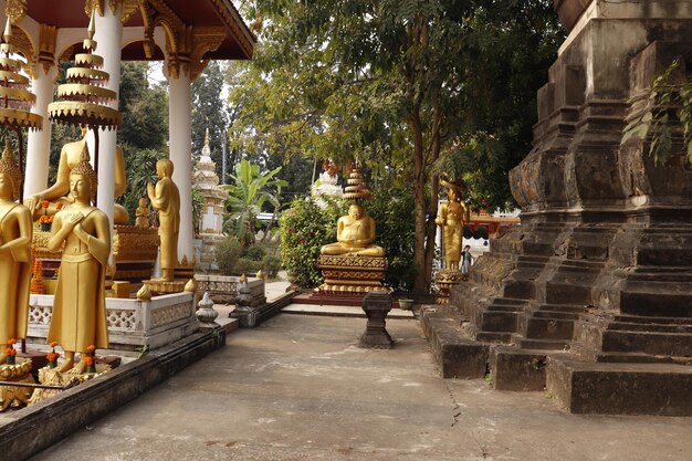 Piękny widok na świątynię wat sisaket znajdującą się w Vientiane Laos